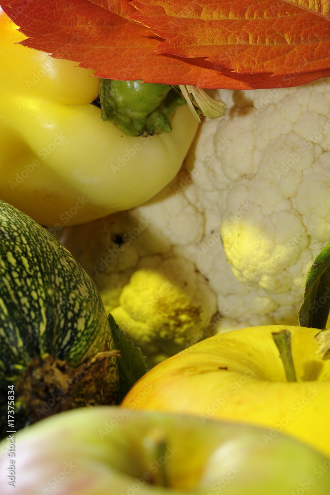 Sticker apples, pumpkin, pepper and cauliflower