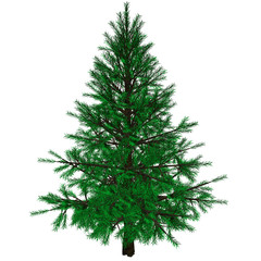 Bare Christmas tree