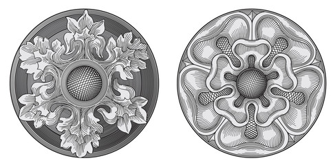 Ornaments vector