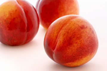 Aprikosen