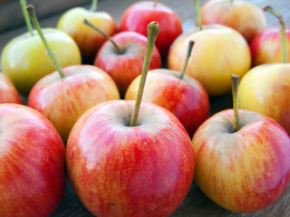 Apple fruit