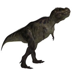 Obraz na płótnie Canvas Tyrannosaurus rex