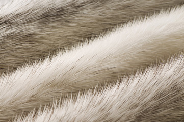 White mink fur texture close-up