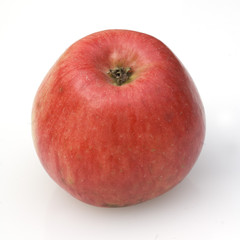 Early Blaze Apfel