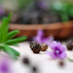 hot pepper - pfeferkörner