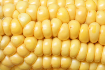 Maize cob