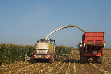 Chopping Corn for Silage 03