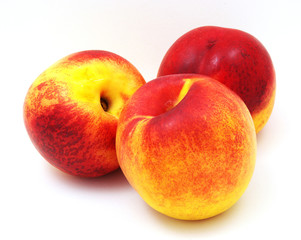 nectarines