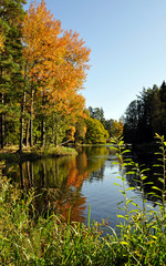 River in autumn