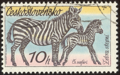 Fototapeta na wymiar vintage postage stamp set ninety one