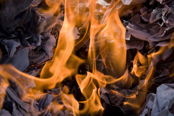 some papers burns in a big fire