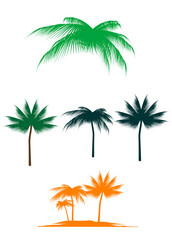 Fototapeta na wymiar Palm tree set