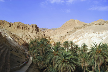 Paysage du Sud Tunisien