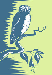 Owl perched on branch with flower