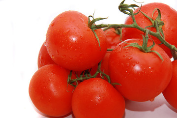 bright tomato