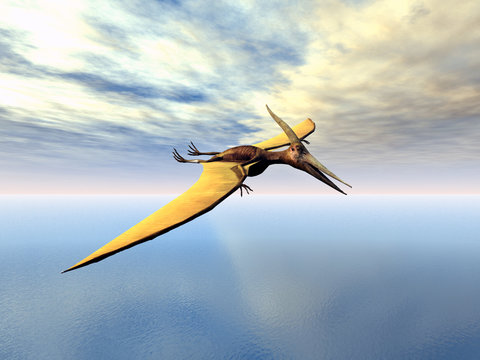 Ozeansegler Pteranodon ingens