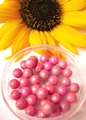 Image of sunflower and pink blush
