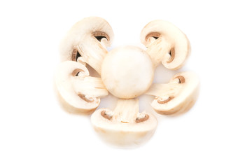 Champignon mushrooms