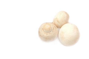 Champignon mushrooms