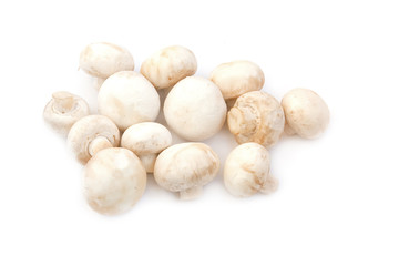 Champignon mushrooms