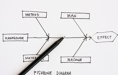 Fishbone diagram