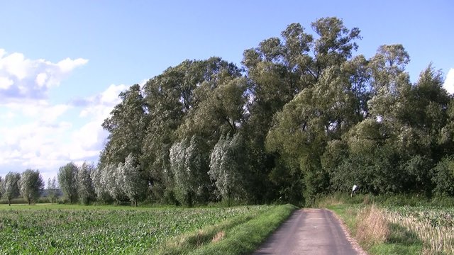 Feldweg