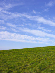 Obraz premium grass and sky