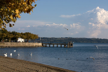 Autunno - Lago Di Bracciano A Trevignano Romano