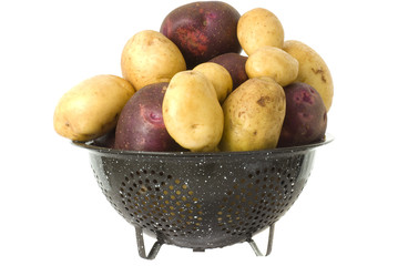 Organic Yukon Gold & Blue Potatoes