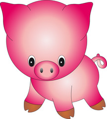 Pig vector