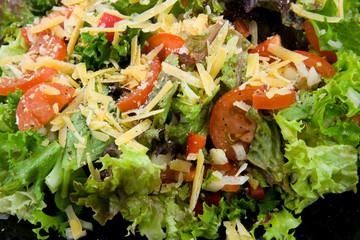 Fresh lettuce in closeup