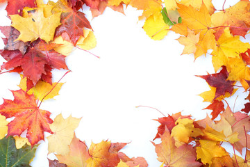 Naklejka na ściany i meble Colorful autumn frame made from leaves.