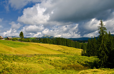 typically sunny rural farmland scene