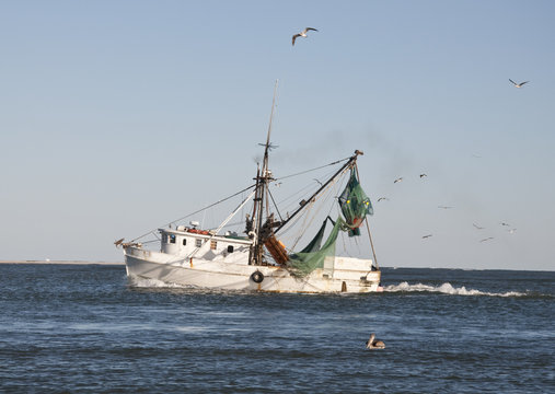 Shrimp Boat with Flock of Sea Gulls