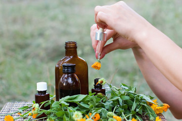 Calendula flower essential oil and tincture