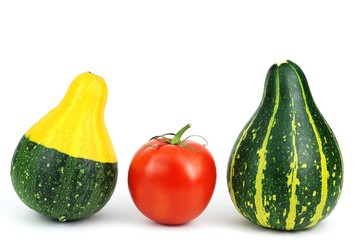 Isolated fresh tomato and ornamental gourds