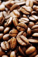 Coffee Beans Closeup