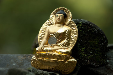 Goldener -Buddha_