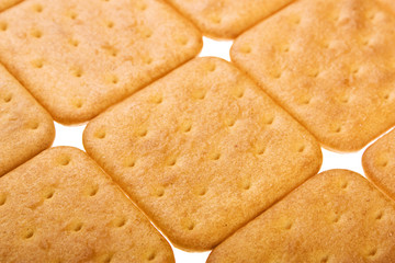 Cookie of the cracker put on white background