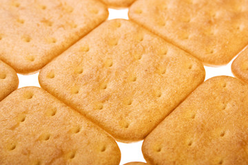 Cookie of the cracker put on white background