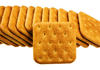 Cookie of the cracker put on white background