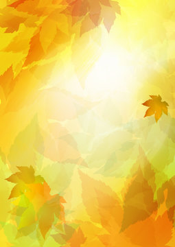 Autumn maple leaves fall. Sunlight yellow artistic background.