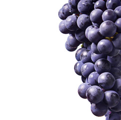 grapes on a white background