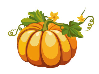 vector pumpkin