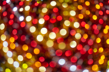 holiday lights