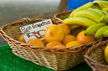 Market Fruit