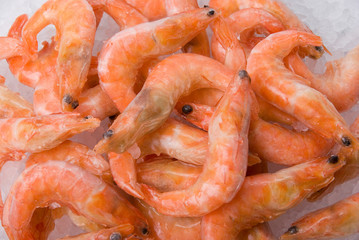 King shrimps closeup