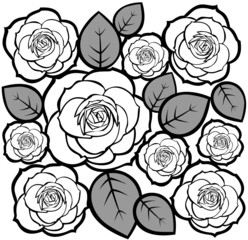 roses background