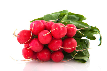 Freshness radish