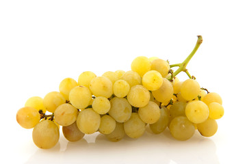 white grapes